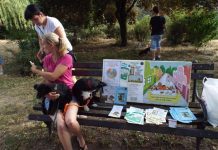 „Pruži šapu, budi drug“: Psi iz Prihvatilišta udomljeni na BUM-ovoj akciji